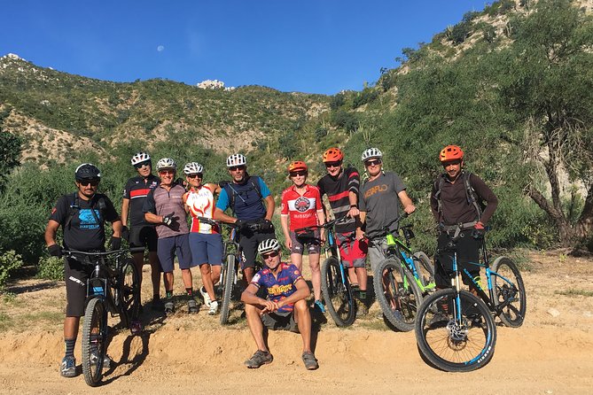 Whistler Half-Day Mountain Bike Tour - Price and Booking