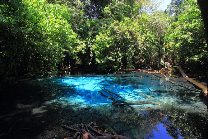 White Temple, Emerald Pool & Hot Springs Tour From Krabi - Pickup Points