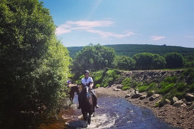 Wicklow Monutains Horse Trekking - Tips for a Memorable Horse Trekking Experience