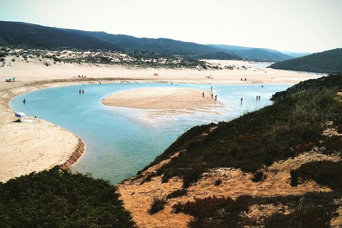 Wild and Wonderful West Coast Full Day Tour - The Sum Up