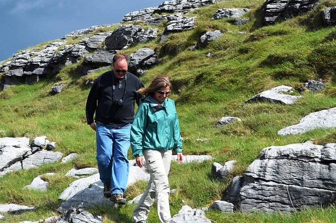 Wild Atlantic Way Full-Day Tour From Galway - Positive Reviews and Testimonials