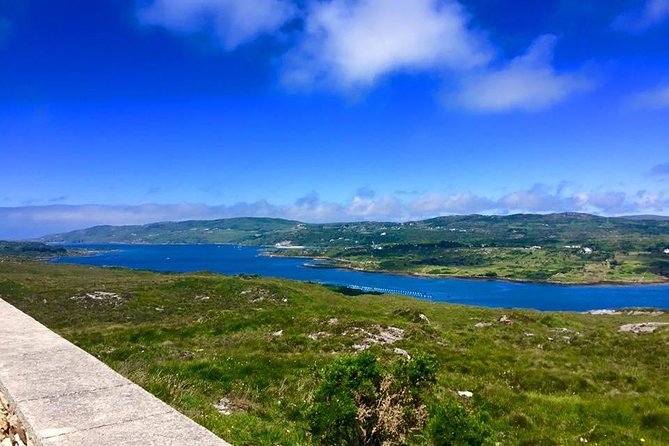 Wild Atlantic Way Private Tour From Galway - Transportation and Guide