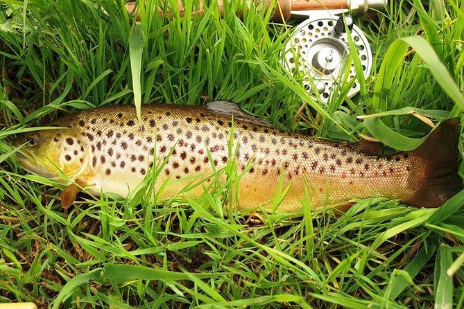 Wild Brown Trout Fishing. Lough Corrib. French Speaking Ghillie/Guide. Full Day. - Meeting and Pickup Details