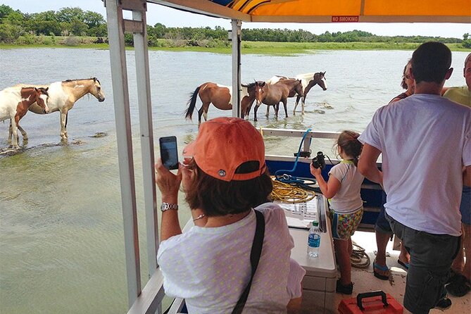Wild Pony Watching Boat Tour From Chincoteague to Assateague - Cancellation Policy