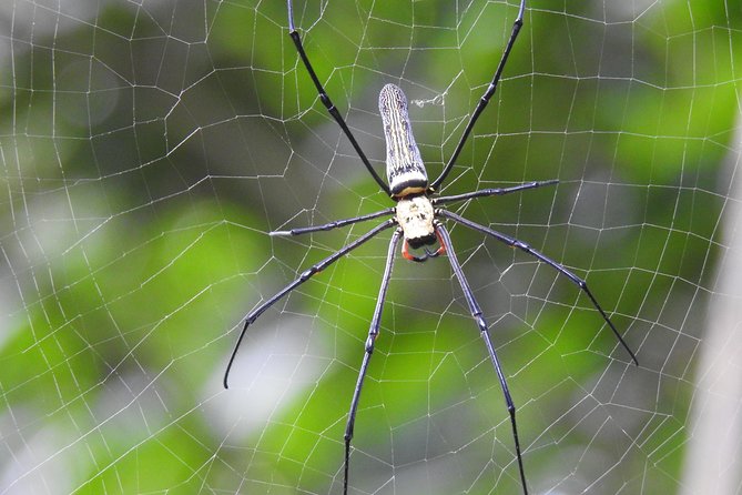 Wildlife at Sungei Buloh Wetland Reserve - Wetland Habitats