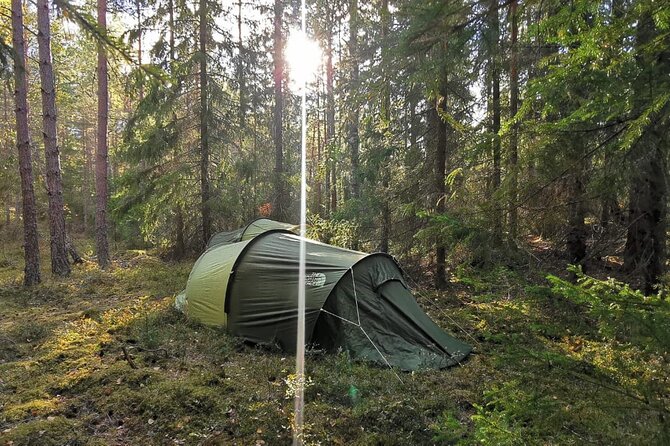 Wildlife Hiking in Stockholm With Animal Spotting - 2 Days - Meeting and Pickup Details