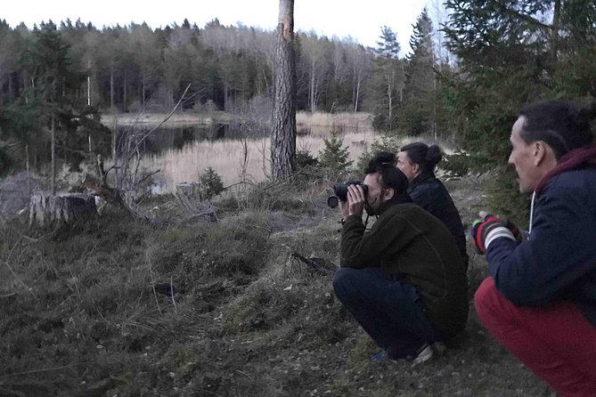 Wildlife Safari Small-Group in Stockholm - Animal Sightings