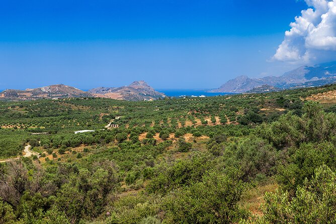Wine, Beer, Olive Oil Tasting Private Tour (Price per Group of 6) - Product Details