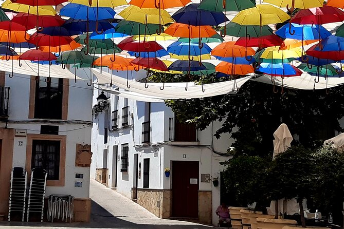 Wine & Tapas Tour by Electric Bike (E-Bike) Including Ronda Pickup (Full Day) - Cancellation Policy