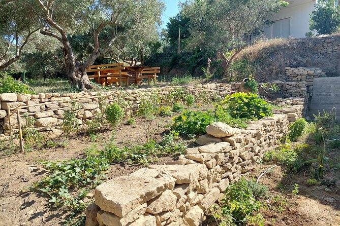 Wine Tasting: Meet the Cretan Vineyard at West Chania - Meeting Point and Pickup Information