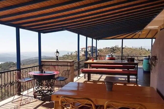 Wine Tasting Tour at Two Wineries in Urla Turkey - Experience and Recommendations