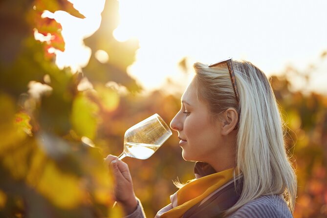 Wine Tasting Tour in Algarve Winery - Whats Included in the Wine Tasting Tour