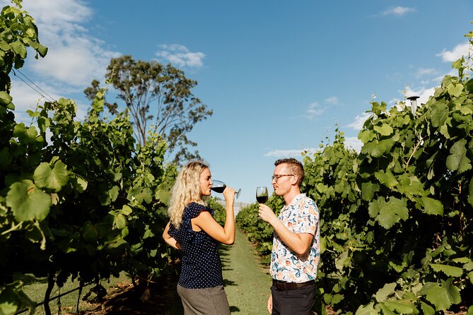 Wine Tasting Tour to Tamborine Mountain - What To Expect