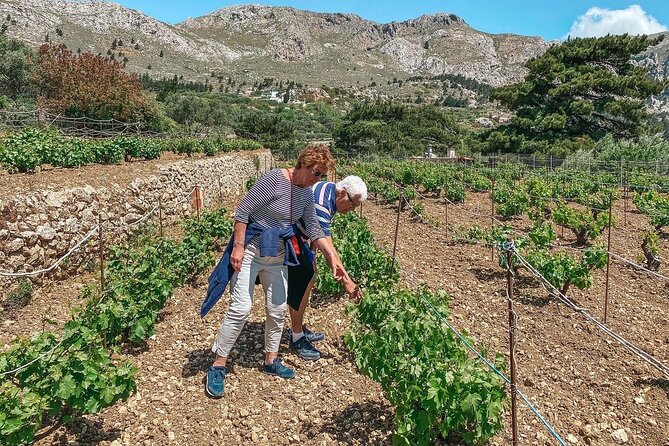 Wine Tasting Walk in Pini - Explore the Vineyards and Scenic Views