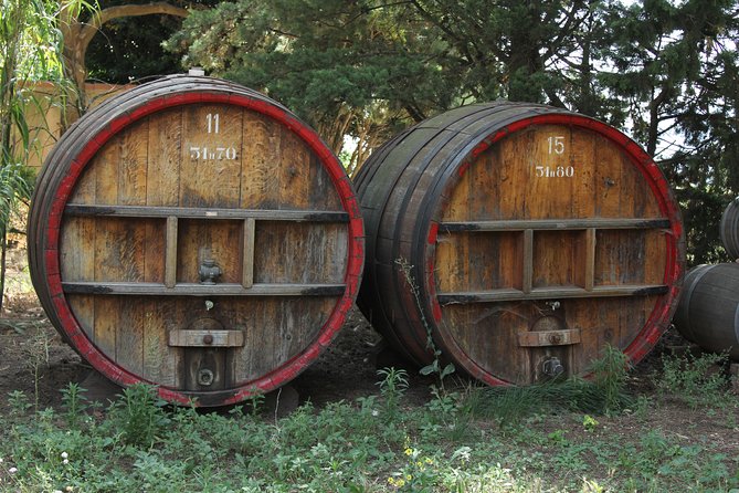 Wine Tour Bandol & Cassis From Marseille - Lunch in Le Castellet: Exploring the Feudal Village
