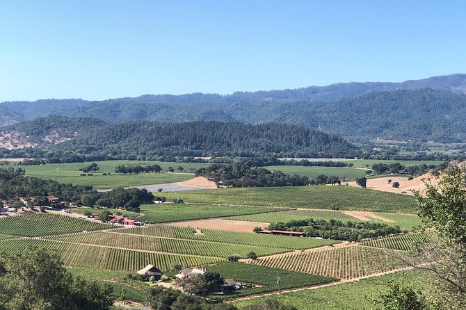 Wine Tour, Enjoy a Wonderful Day in Napa or Sonoma Wine Country. Private Driver - Pickup Details