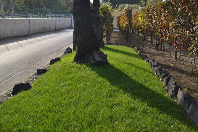 Wine Tour Experience for Family or Friends Group - Questions