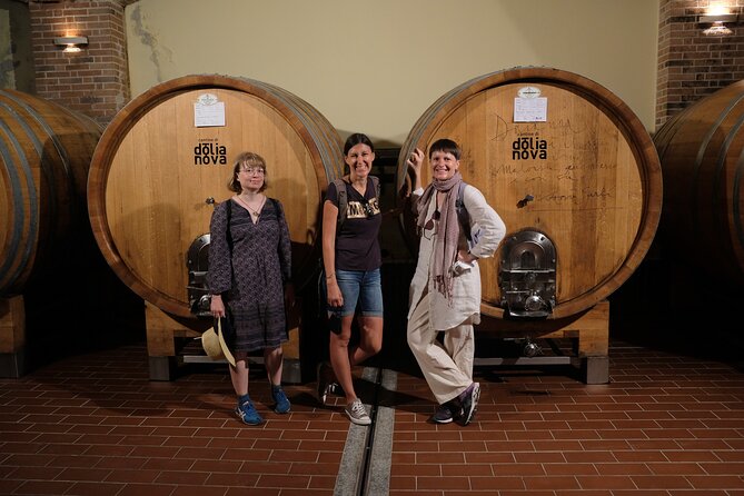WINE TOUR With Sommelier in a WINEry Near Cagliari - Pickup and Drop-off
