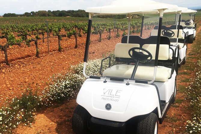 Wine Tourism: Wine Tasting - Tips for Planning a Wine Tasting Trip