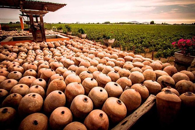 Winery and Pisco Distillery Tour - Traveler Photos and Reviews