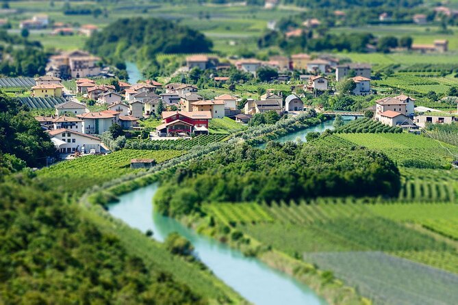 Winery Tour and Organic Wine Tasting in Trentino - Common Questions