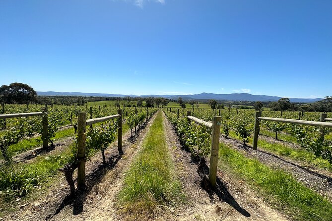 Yarra Valley Wine, Cheese, Bubbles & Chocolate Tasting - Start Time