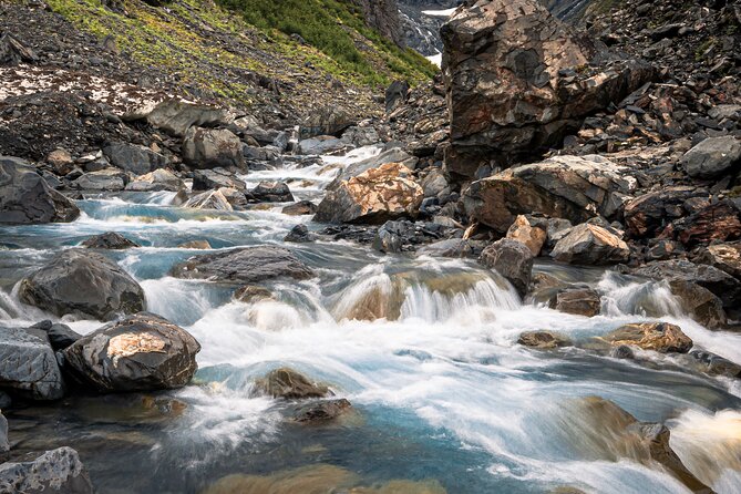 Year Round Glacier View & Wildlife Anchorage Adventure Tour - Comfortable Transportation and Amenities