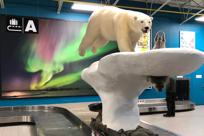 Yellowknife City Tour Natures North Wildlife Gallery - Questions and Assistance