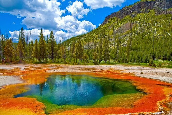 Yellowstone Lower Loop VIP Full-Day Private Tour With Lunch - Common Questions