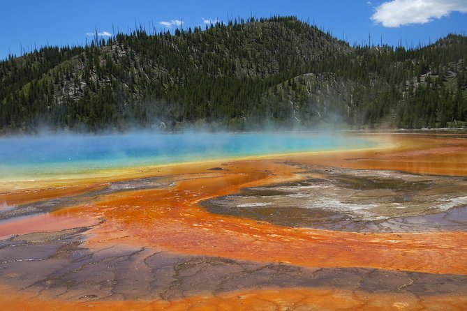 Yellowstone National Park - PRIVATE Full-Day Lower Loop Tour From W. Yellowstone - Meeting Point Information