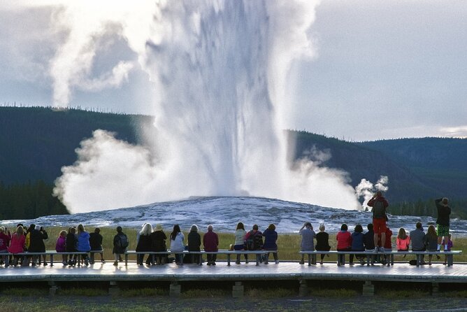 Yellowstone National Park Tour From Jackson Hole - Traveler Photos and Reviews