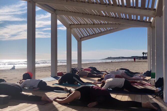 Yoga and Meditation Class in Front of the Sea and the Mountains in Alicante - What to Expect