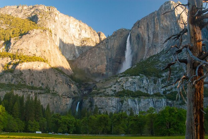 Yosemite: Audio Driving Tour - Pricing and Availability