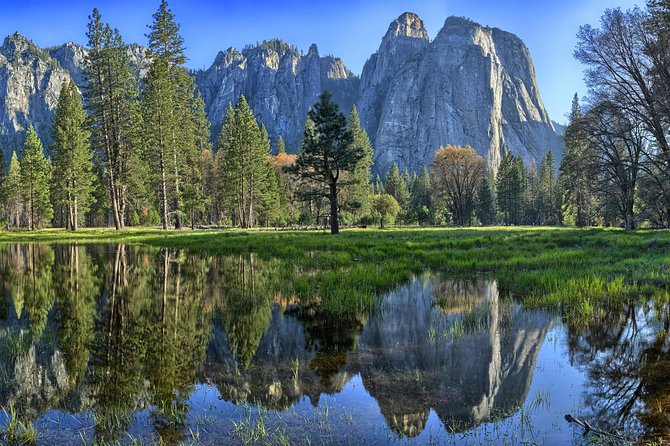 Yosemite National Park - Full Day Tour From San Francisco - Positive Feedback About the Tour