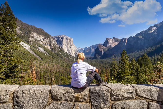Yosemite National Park & Giant Sequoias 2-Day Semi-Guided Tour - Customer Reviews