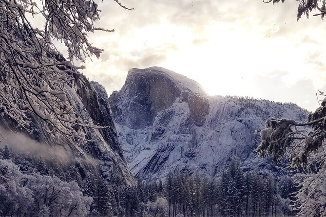 Yosemite Winter Highlights Small Group Tour - Customer Reviews