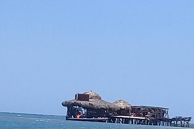 YS Falls & Pelican Bar Tour - Traveler Photos and Reviews