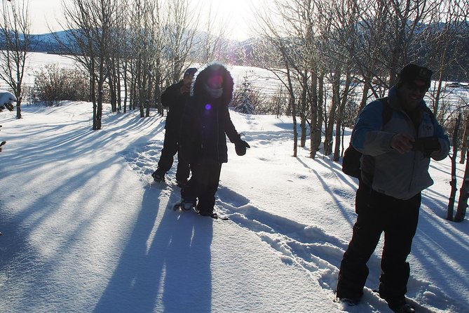 Yukon Ice Fishing & Snowshoeing Tour Half Day - Common Questions