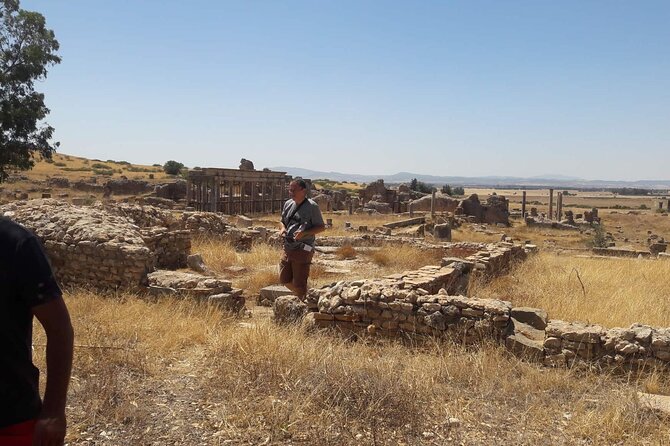 Zaghouan, Thuburbo Majus and Dougga Private Guided Tour From Tunis - Viator Information