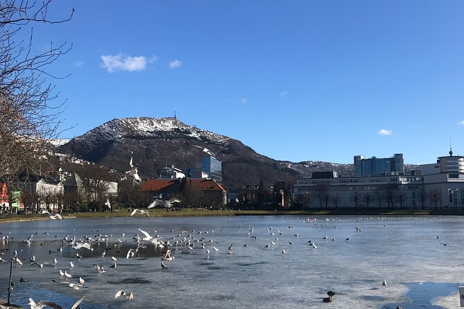 Zero Emission Bergen City Tour By Car - Pricing and Terms