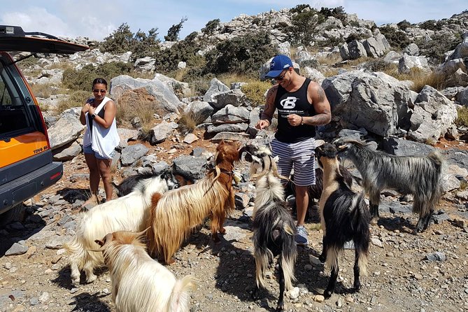 Zeus Cave & Lassithi Plateau (Safari Adventure Offroad Excursion) - Family-Friendly Experience