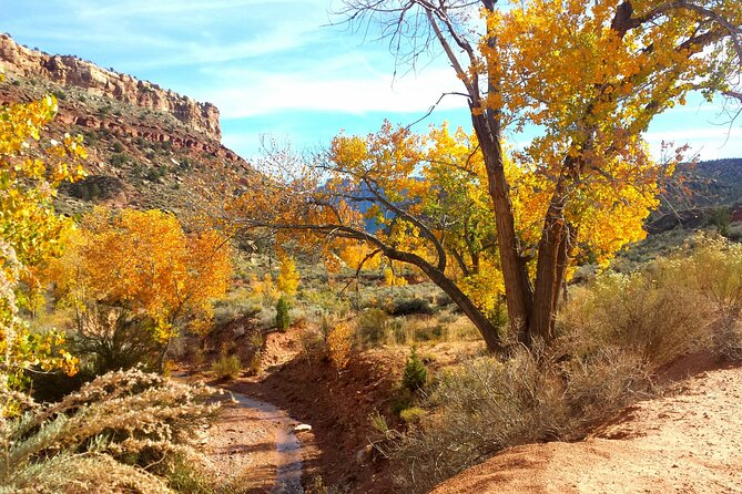 Zion UTV Morning Tour - Cancellation Policy