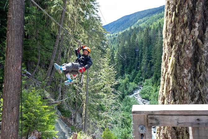 Zipline Adventure in Whistler - Customer Reviews