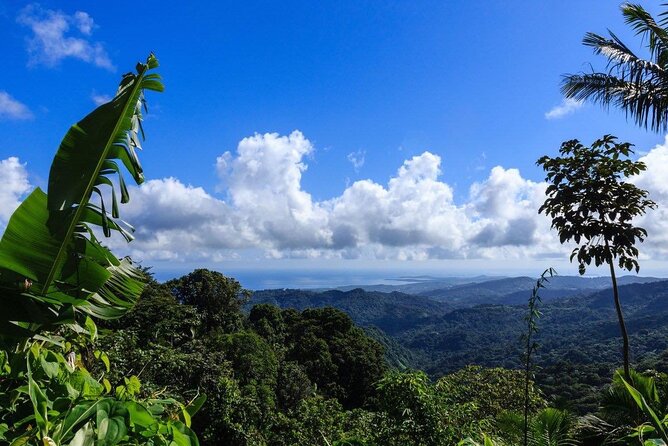 Zipline Canopy Adventure Tour From San Juan - Weight Limit and Safety Measures