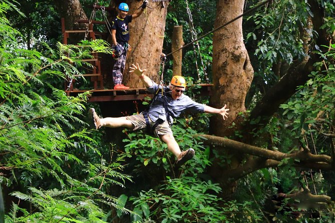Ziplines 30 Platforms & Private Transfer Roundtrips - Zipline Platform Highlights