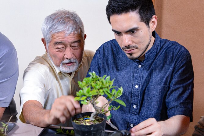 3Days-Bonsai & Sencha Tea Experience: Pastime of the Literati