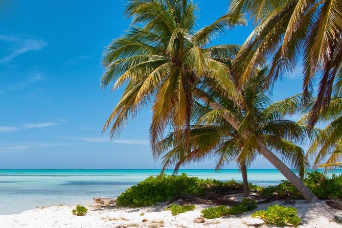 3HR Full Island Life Jetski Tour