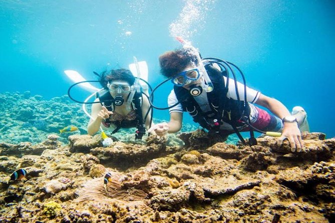 4 Best 4 Day Tours In Phu Quoc