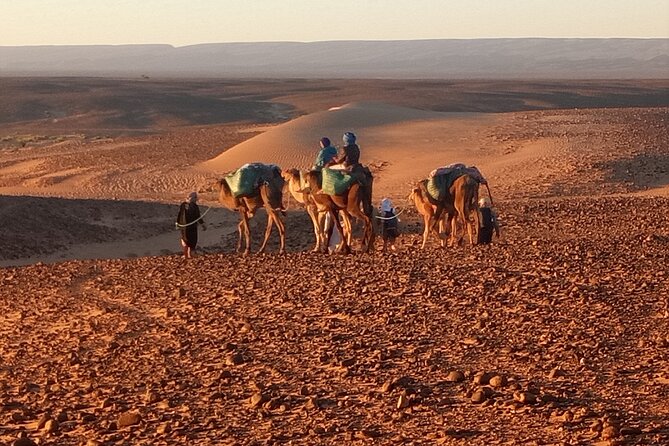 2 Best 4 Day Tours In Zagora