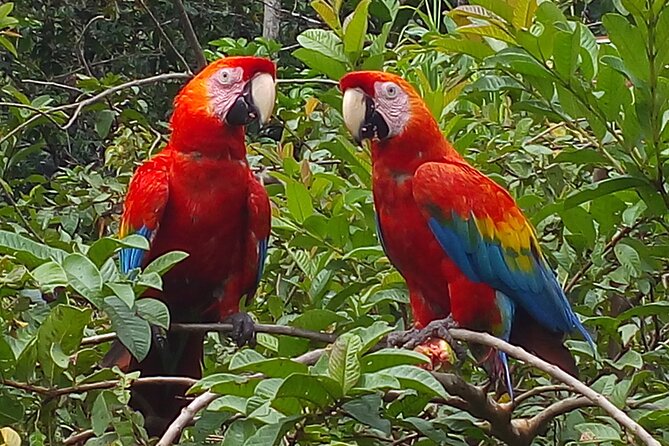 4-Day Private Tour to Manu National Park From Cusco - Good To Know